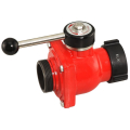 Protek 6595 Self Locking Hydrant Valve (1) 2-1/2" Female Inlet x (1) Male Outlet, FREE SHIPPING