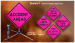 detail_654_Dicke_Fold_and_Roll_Traffic_Sign.JPG